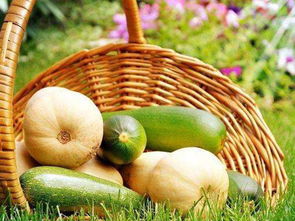 立足田間地頭，胸懷星辰大海 農(nóng)產(chǎn)品電商創(chuàng)業(yè)者的心態(tài)修煉與收購之道